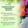 Outsidepride Xtreme Pastel Mix Impatiens Flower Seeds - 75 Pcs