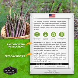 5 Packs Argenteuil Purple Asparagus Seeds for Planting with Instructions to Grow Gourmet French Asparagus in Your Home Vegetable Garden - Non-GMO Heirloom - Survival Garden Seeds