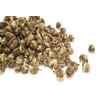 Green Tea Taster Sample Bags 8 Packs of Loose Leaf