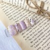 Purple nuance nail tip - long point / 퍼플 뉘앙스