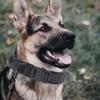Tactical Dog Collar, Military Nylon Dog Collar Thick with Handle