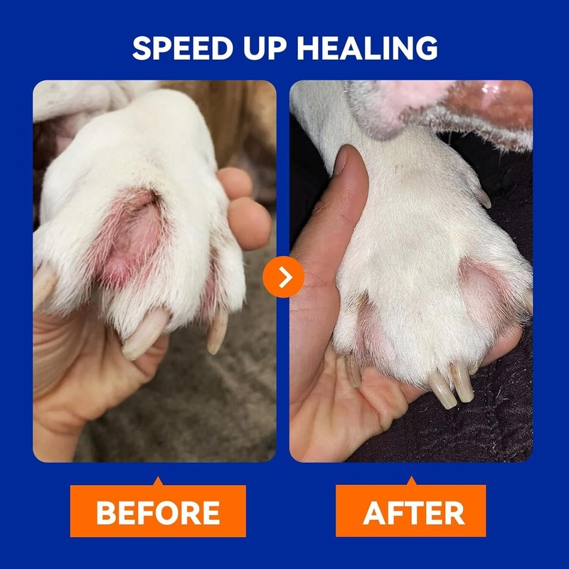 Pointail Hot Spot and Wound Spray for Dogs and Cats,