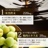 ユウキ製薬 SP 黒酢 粒 30日分 60球 サプリ 酢 カプセル 国産