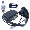 AUMEL Ignition Coil for Stihl BR600 BR550 BR500 BR700 Leaf