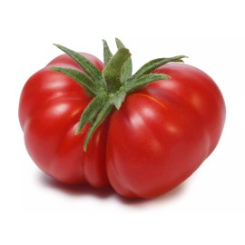 Fresh 120+ BEEFSTEAK TOMATO SEEDS - LARGE - HEIRLOOM - NON GMO - ORGANIC ------- FRESH