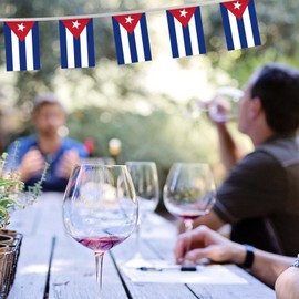 32FT Cuba Pennant Small Flag Bunting,30 PCS Mini String Banner Stripes Cuban Decor Rectangle for Holiday Restaurant Home Party School