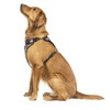 Canada Pooch Everything Dog Harness No Pull Adjustable Dog Walking