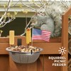 Squirrel Feeders for Outside with Flag, Squirrel Picnic Table with