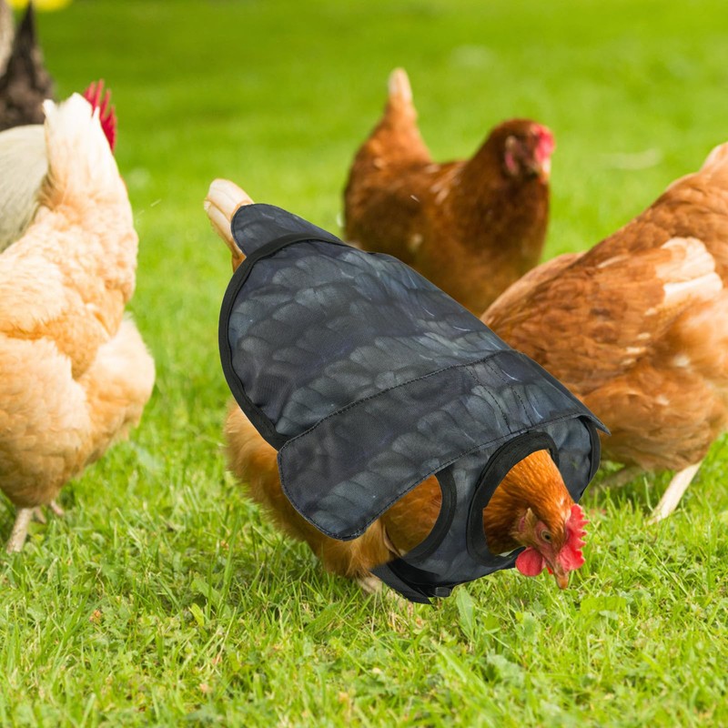 Chicken Saddles for Hens, Chicken Apron Back Protector Hen Mating