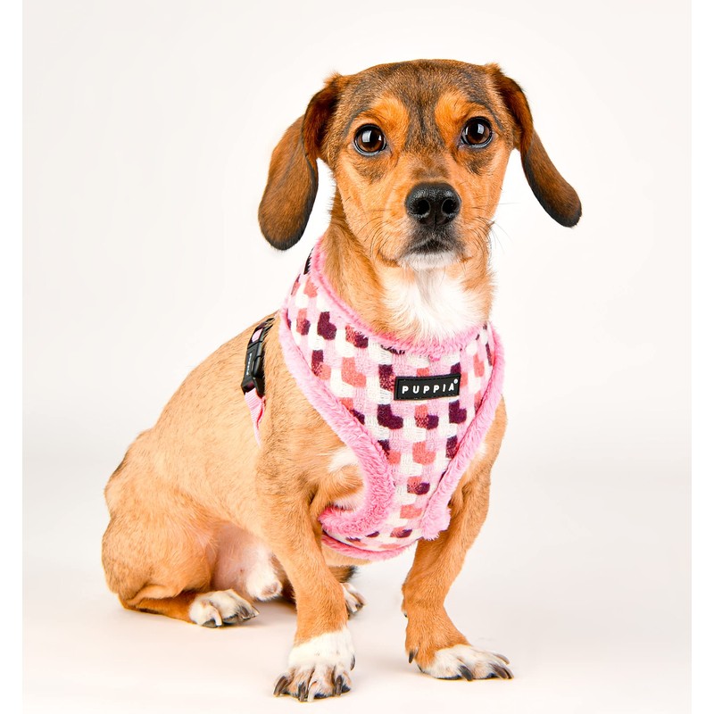 Puppia Dog Harness for small and medium dogs - ARDEN