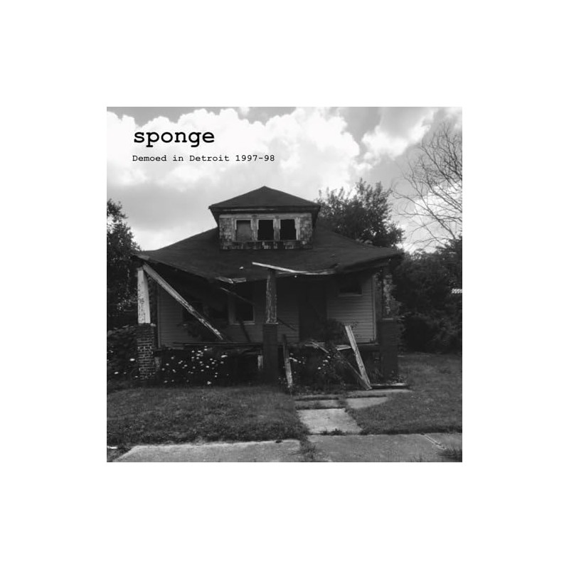 Demoed In Detroit 1997-98 [Vinyl LP]