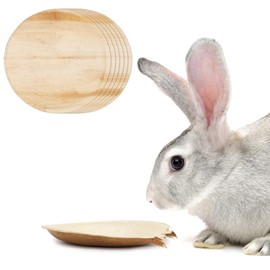 WALLFID Palm Leaf Bowls for Bunnies,6-Piece,3.5" and 6" Sizes,Natural Chew Toy for Rabbits,Bunny Accessories,Rabbit Toys,Bunny Toy (6 inches*6)