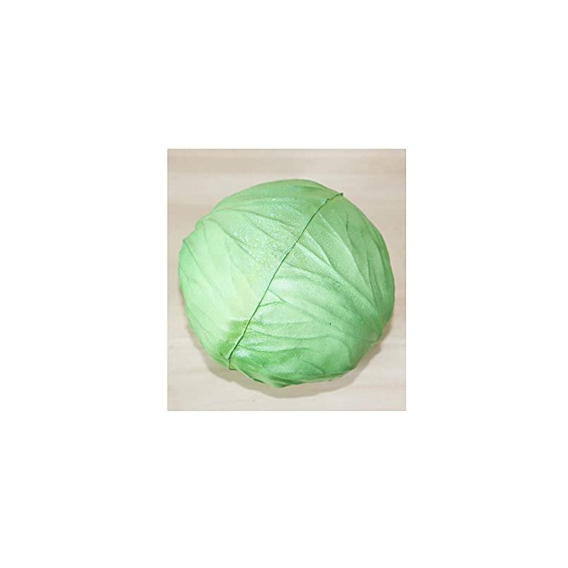 GuCra 本物そっくりな野菜模型 キャベツ 2個パック 食品サンプル