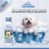 Shampoo Pelo Blanco del Perro Consentido| Ayuda a Mantener el