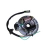 Trkimal 2 Coil Ignition Magneto Stator Plate for 50cc 70cc