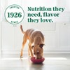 Nutro Ultra Wet Dog Food Grain Free Filets, Adult Dog