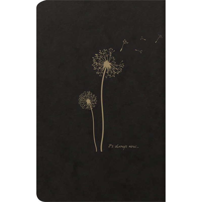 Clairefontaine Flying Spirit 102506C Notebooks Lined 11 x 17 cm