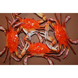 Tropical Coral Reef Sea Life Wall Hangings Crab Shack Restaurant Steamed Crab Decor, 6 inches, Set of 4