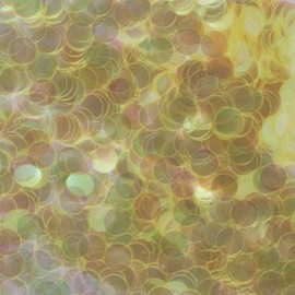 Pica Ace Nails for Powder Round Aurora 耐溶 No 1.5 mm # 760 White 0.5 G