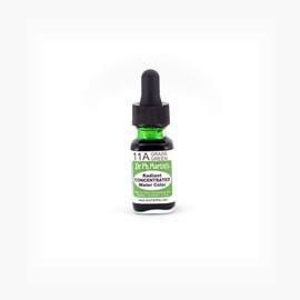 Dr. Ph. Martin's Radiant Concentrated Water Color (11A) Watercolor Bottle, 0.5 oz, Grass Green, 1 Bottle