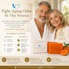 Persimmon Soap 3 Pack with Foaming Bag – Body Odor