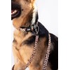 Adjustable Nylon Dog Collar - for Small, Medium and Large