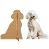 Dog - Poodle - Life Size Cardboard Cutout Standup People