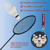 ShuttlePro T20 Badminton Shuttlecocks, 12 Pack, Goose Feather, Professional Training,