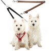 Double Dog Pet Lead Leash Splitter Coupler with Clip for