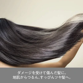 Hair Recipe, Japanese Seeds, For Hair Damaged and Pained, Pure Domestic Rice Oil, No 5 Ingredients, Treatment, 12.8 oz (350 g), 12.8 oz (350 g) (x 1)