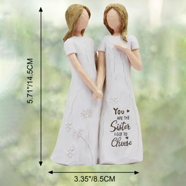Friendship Gifts for Women Sculpted Hand-Painted Sister Birthday Gifts-You are The Sister I Got to Choose-Waterproof Resin Funny Gifts for Friends You are The Sister I Got to Choose Funny Gifts