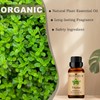 Thyme Essential Oils 10ML, 100% Pure and Natural Thyme Essential