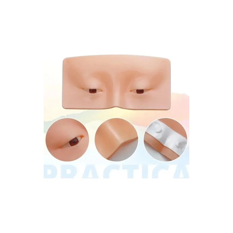 Modelo Práctica Maquillaje Sombras Ojos Aplicación Pestañas
