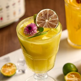 Dehydrated Lime Slices |3.53oz/100g| Dried Lime Slices for Cocktails Garnishing, Cooking, Baking, Fruit Tea Drinks,Wreath Making,Crafts | 100% Natural Dry Cocktail Limes |No Added Sugar| No Additive