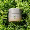 NEW Artemisia soothing cream 50ml / NEW 개똥쑥 진정 크림