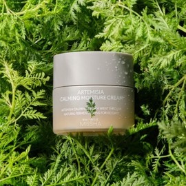 NEW Artemisia soothing cream 50ml / NEW 개똥쑥 진정 크림 50ml