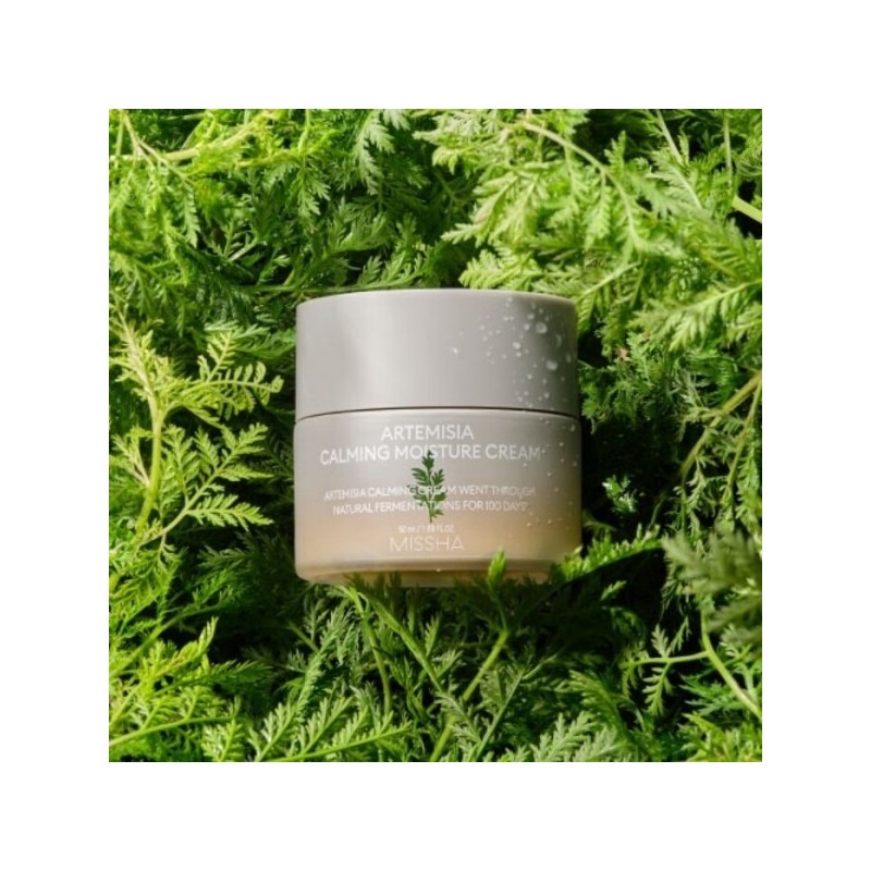 NEW Artemisia soothing cream 50ml / NEW 개똥쑥 진정 크림