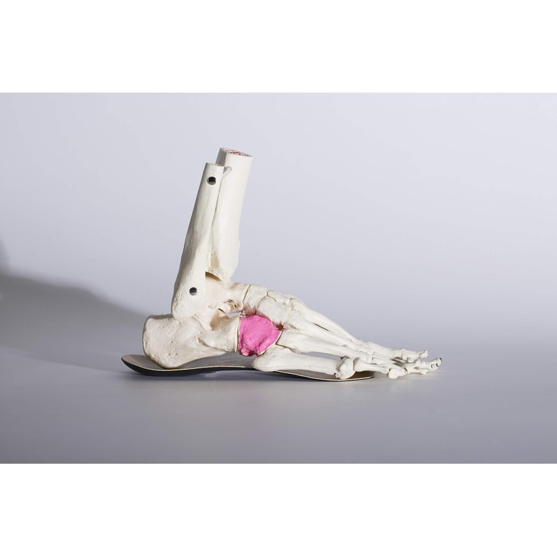 BMZ(ビーエムゼット) 「Cuboid balance理論」モデル パンプス用インソール CL-K309 24.0-24.5cm