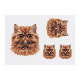 4 x 'Persian Cat Front View' Temporary Tattoos - Water Resistant, Skin-Safe, Non-Toxic Transfers, Mixed Sizes (TO00077108)