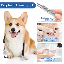 GIFTMISSU 4 Pack Stainless Steel Pet Dental Tools for Dogs and Cats, Professional Tartar Remover Scraper Kit for Teeth Cleaning, Plaque and Calculus Control, Oral Care Hygiene for Home or Vet Use