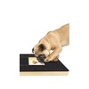 Dog Nail Scratch Board - with Treat Draw- Dog Scratch