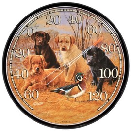 AcuRite 01712 - Termómetro de pared (30,5 cm), diseño de cachorros labrador, multicolor
