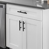 Ravinte Hardware 10 Pack Cabinet Handles with 3 Inch (76mm)