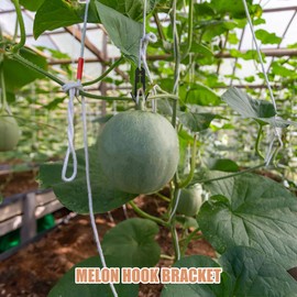 BESPORTBLE 50pcs Cantaloupe Bracket Hook Heavy Duty Hooks for Hanging Melons Outdoor Trellis Clips for Climbing Plants Outdoor