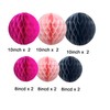 Pack of 12 Black and Pink Paper Honeycomb Balls, Hanging