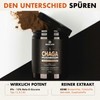 SOLVE Labs ● Premium Siberian Chaga Mushroom Capsules ● 10%