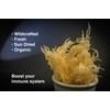 Dried Sea Moss (3 Oz (pack of one)) - Caribbean