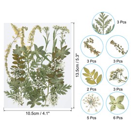 PATIKIL Dried Pressed Flowers, Natural Dried Flower Leave Real Pressed Flowers for DIY Art Crafts Resin Mold Scrapbooking, Green Series