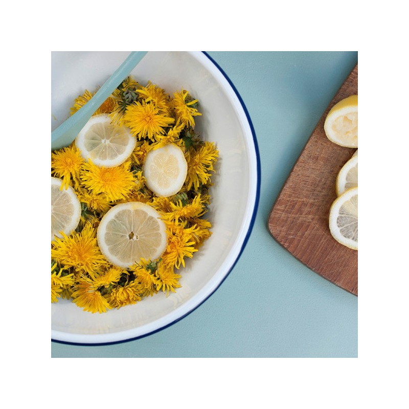 [Chamgoods] Lemon Balm Dandelion Extract Complex 120 tablets, 2 boxes