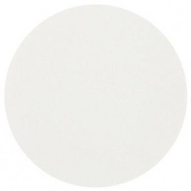 Grade CFP1 cellulose filter paper, cut 4.25cm dia. 100/pk Qualitative grade